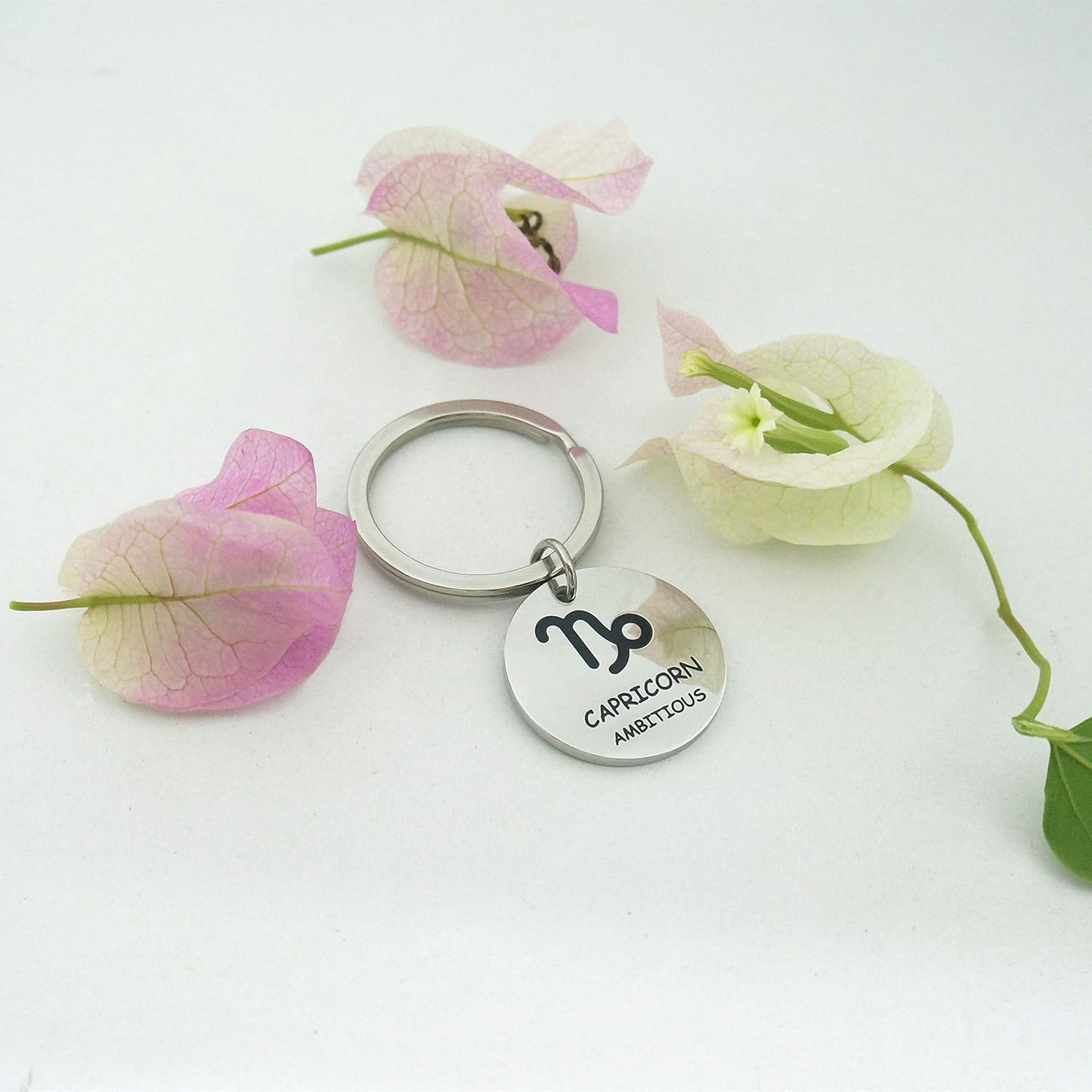 Stainless Steel Zodiac Keychain with Zodiac Sign Symbol Simple Zodiac Keychain for Friends