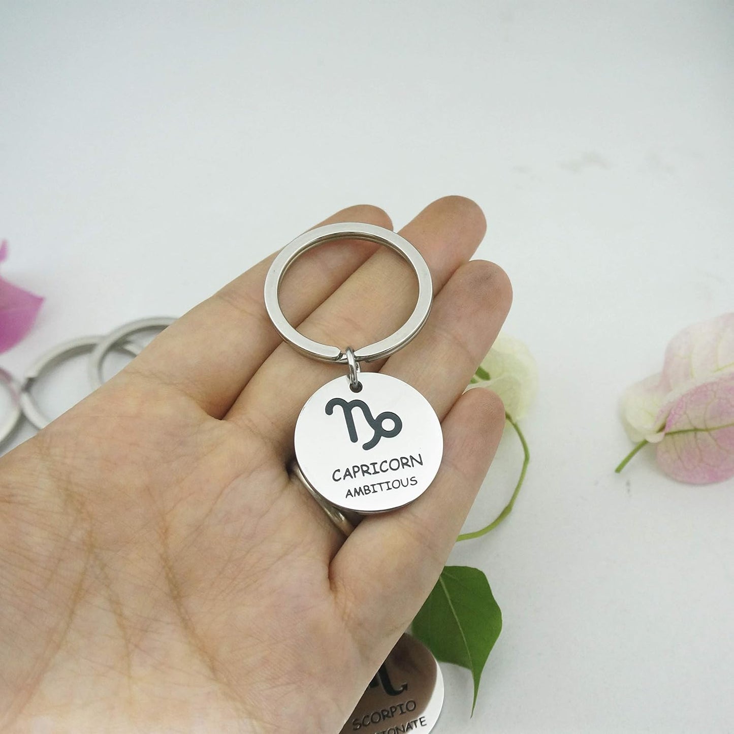 Stainless Steel Zodiac Keychain with Zodiac Sign Symbol Simple Zodiac Keychain for Friends